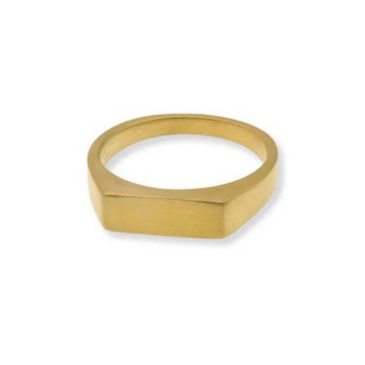 Personalized Gold Horizontal Signet Ring